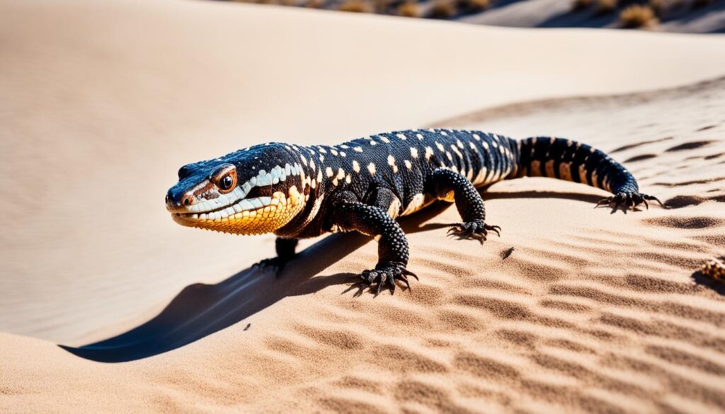 desert wildlife desert wildlife